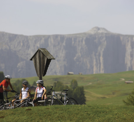 2008 Sommer Aktiv